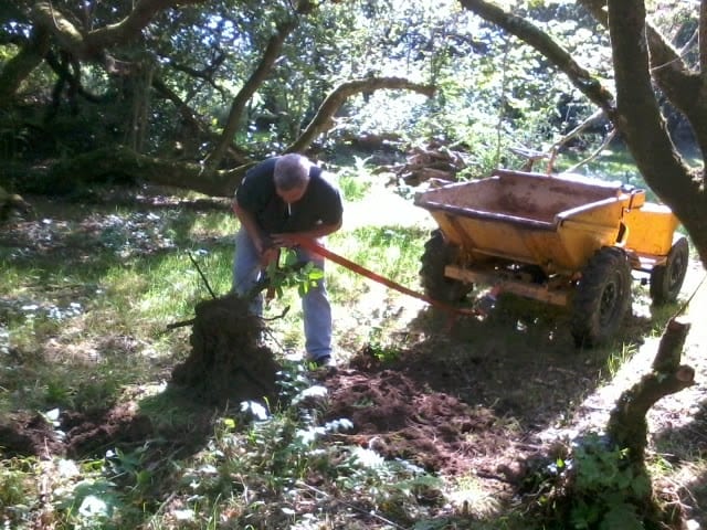 vintage dumper in woods